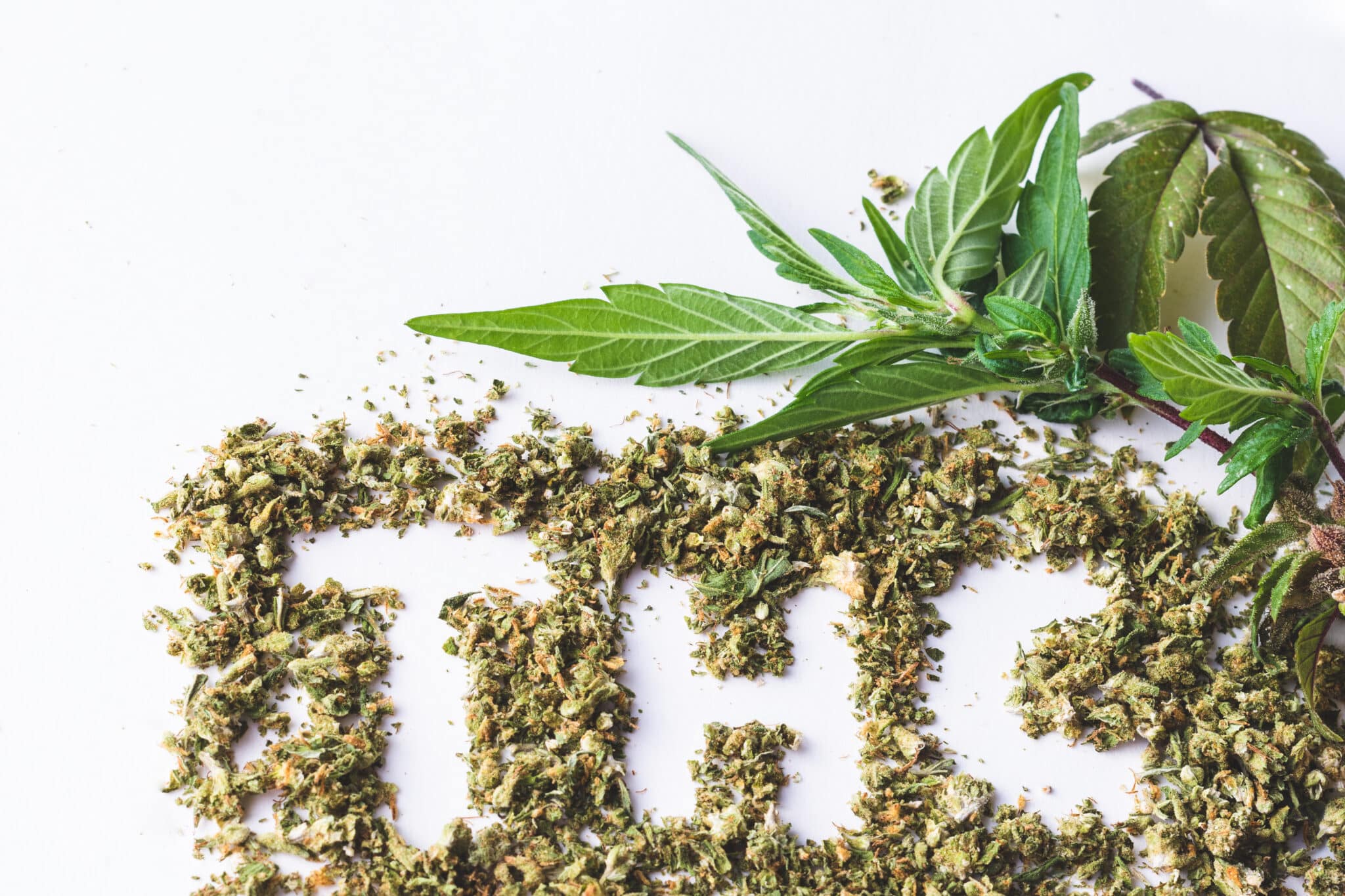 What is Shake Weed?