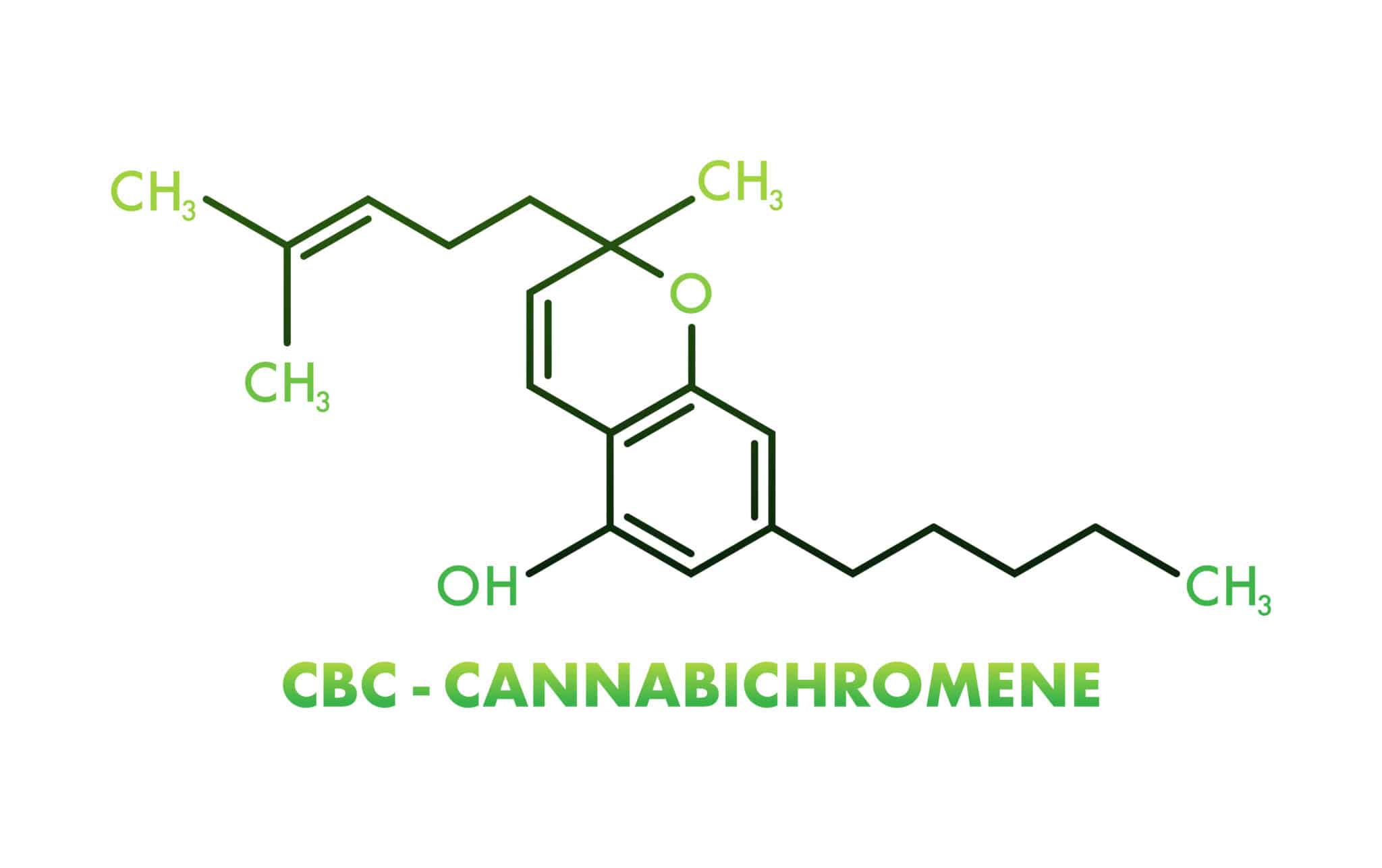 Uses and Benefits of CBC (Cannabichromene)