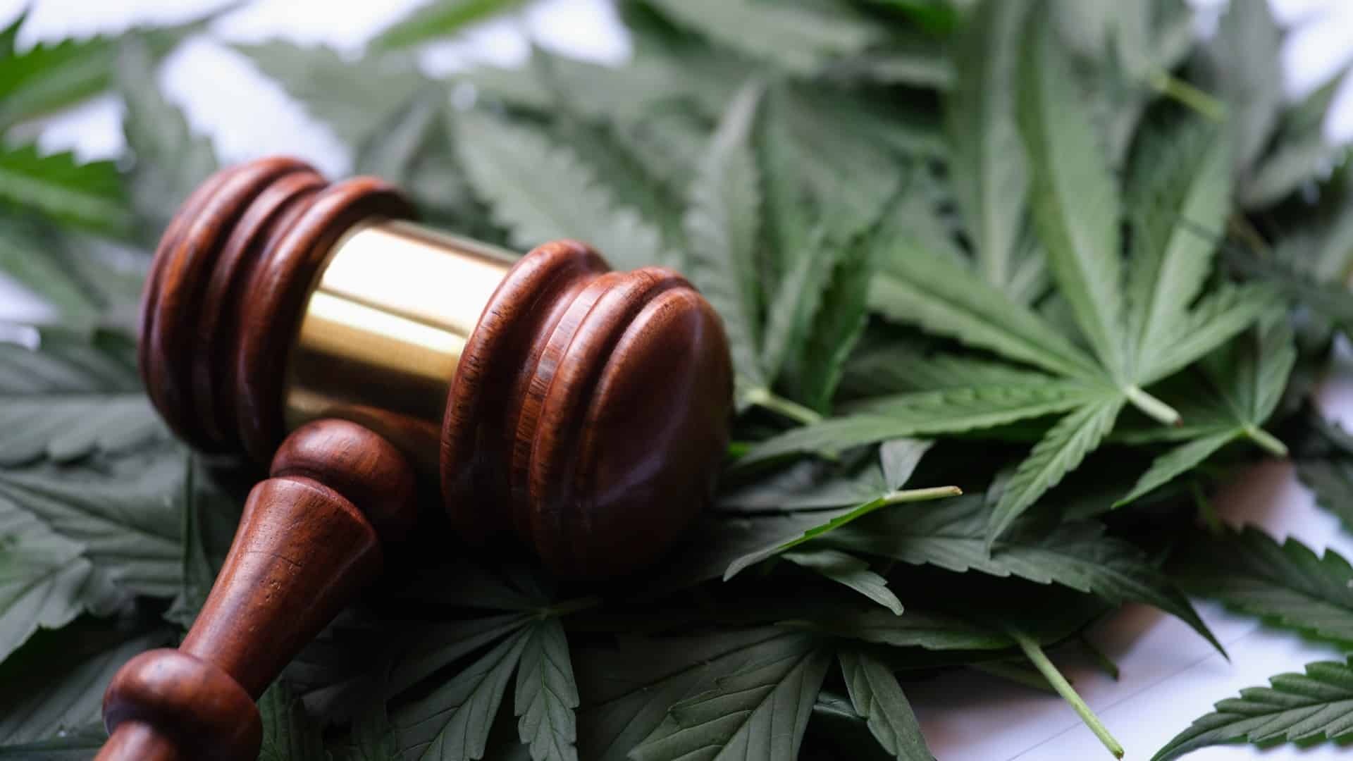 CDX Blog: Florida Laws