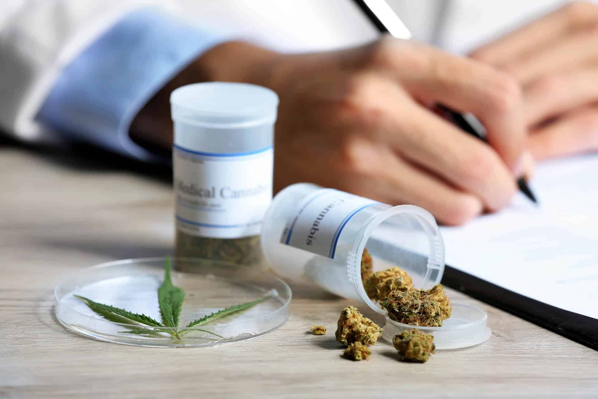 medical marijuana doctor