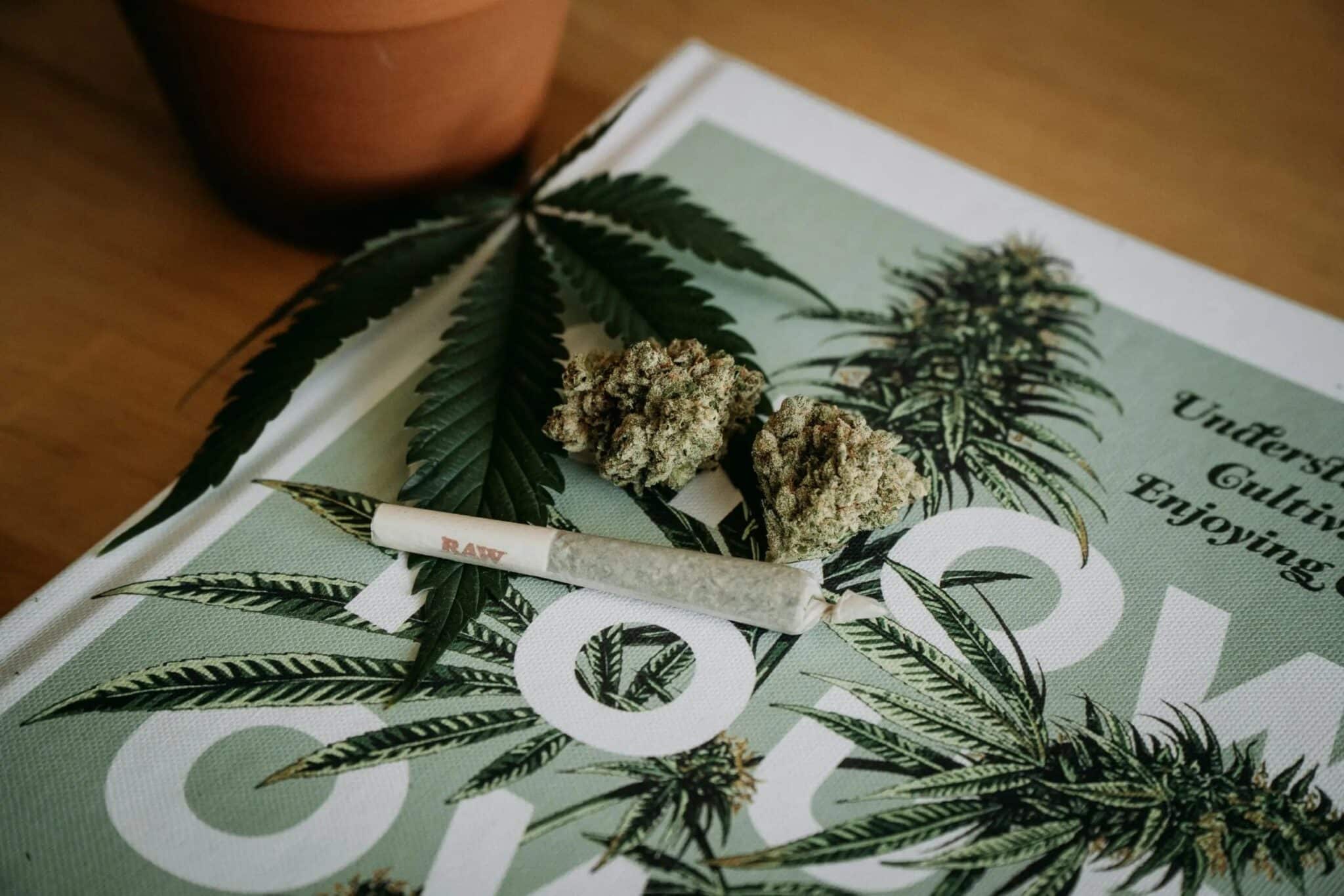 mmj certification